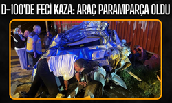 D-100'de feci kaza: Araç paramparça oldu