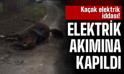 İki Attan Biri Akıma Kapılarak Telef Oldu