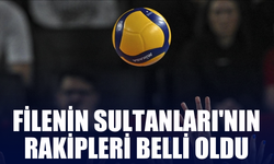 Filenin Sultanları'nın Avrupa Şampiyonası'ndaki rakipleri belli oldu