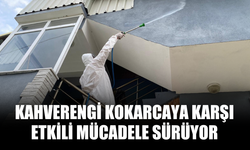 Kahverengi Kokarcaya Karşı Etkili Mücadele Sürüyor