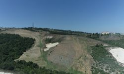 Kandıra'da 60 dönümlük alana 4 bin 500 fidan dikilecek