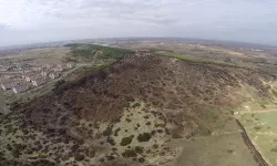 Keşan’da Yangın Alanı Yeniden Ağaçlandırılacak