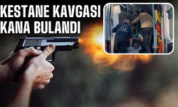 Kestane kavgası kana bulandı
