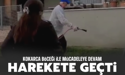 Sakarya’da Kahverengi Kokarca ile Yoğun Mücadele