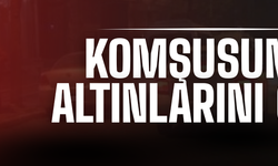 Komşusunu darp edip altınlarını çaldılar