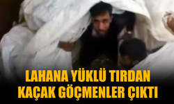 Bu kadarına pes! Lahana yüklü tırdan kaçak göçmenler çıktı...