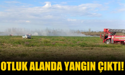 Otluk alanda yangın çıktı!