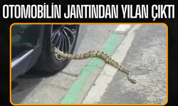 Otomobilin jantından yılan çıktı