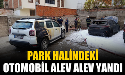 Park halindeki otomobil alev alev yandı