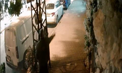 Kuaföre Yumurta Saldırısı Güvenlik Kamerasına Yansıdı