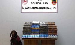 Yolcu Otobüsünde Kaçak Sigara Operasyonu: 1 Gözaltı