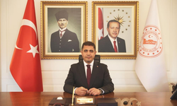 Sokak hayvanları için 84 bin metrekarelik doğal yaşam alanı oluşturuldu
