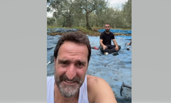 Timur Acar İznik’te Zeytin Hasadına Başladı