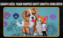 Sakarya Doğal Yaşam Kampüsü Grafiti Sanatıyla Renkleniyor