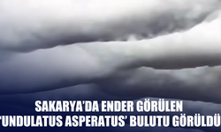 Sakarya Semalarında Ender Görülen ‘Undulatus Asperatus’ Bulutu Görüldü!
