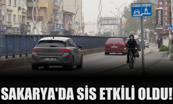Sakarya'da sis etkili oldu