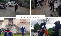 Sakarya’da Kahverengi Kokarca ile Mücadele Sürüyor