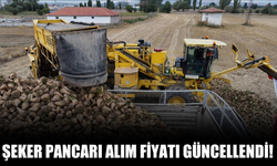 Şeker pancarı alım fiyatı güncellendi!