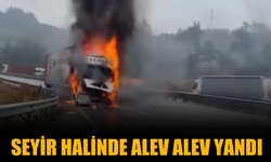 Seyir halindeki tır alev alev yandı