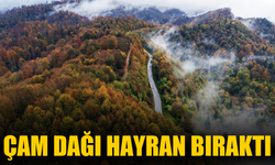 Sisler altındaki Çam Dağı hayran bıraktı!