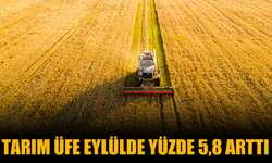 Tarım ÜFE Eylülde Yüzde 5,8 Arttı