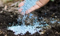 Tarım ve Orman Bakanlığı, nitrat kirliliğini önlemek için yönetmelik değişikliği yaptı