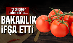 Bakanlık o firmayı ifşaladı: 'Tatlı biber baharatı'na...