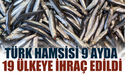 Türk hamsisi 9 ayda 19 ülkeye ihraç edildi