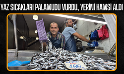 Palamut Bu Yıl Tezgahlarda Yok, Hamsi Bolluğu Yaşanıyor
