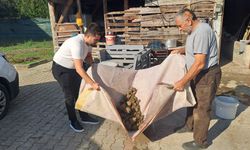 'Yerinde Toprak Analizi' çiftçiler tarafından memnuniyetle karşılandı