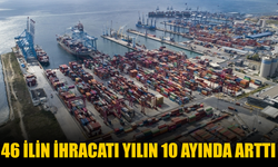 46 ilin ihracatı yılın 10 ayında arttı
