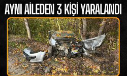Aynı aileden 3 kişi yaralandı