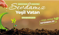 Binlerce fidan toprakla buluşacak