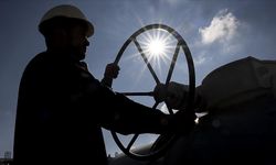 BOTAŞ ve TEMSAN 262 Personel Alacak