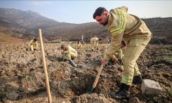 3 milyon 250 bin fidan toprakla buluşacak
