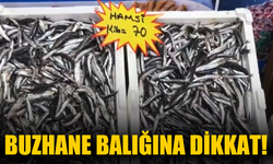 Akçakoca Balıkçı Barınağı Başkanı Karakaş’tan Uyarı