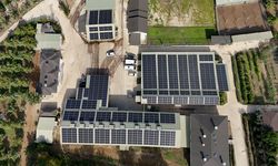 Ceviz üretimine başlayan işletme elektriğini güneşten karşılıyor