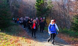 Sonbaharın Büyüleyici Renkleri Eşliğinde 14 Kilometrelik Doğa Yürüyüşü