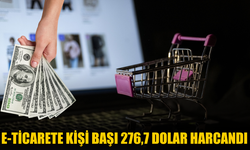 E-ticarete kişi başı 276,7 dolar harcandı