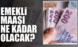 Emekliler Yıl Sonu Enflasyonunu Bekliyor
