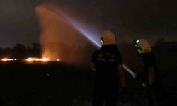 Sakarya’da anız yangınları endişe yaratıyor