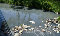 Ankara Bölge İdare Mahkemesi Kararı Bozdu