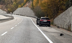 Bolu’da Elektrikli Otomobil Kontrolden Çıktı