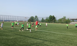 Ferizli’de Spor Etkinlikleri Tüm Hızıyla Devam Ediyor