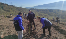 SEDAŞ, Milli Ağaçlandırma Günü’nde 500 Fidanı Toprakla Buluşturdu