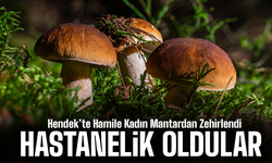 Hendek’te Hamile Kadın Mantardan Zehirlendi