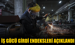 İş Gücü Girdi Endeksleri Açıklandı!