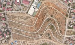 Karbon emiliminin artırılması için 75 dönüm alan ağaçlandırılıyor