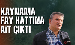 Sapanca Gölü’ndeki Kabarcıklar Endişe Yarattı