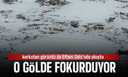 Efteni Gölü’nde Fokurdayan Sular Vatandaşları Şaşırttı